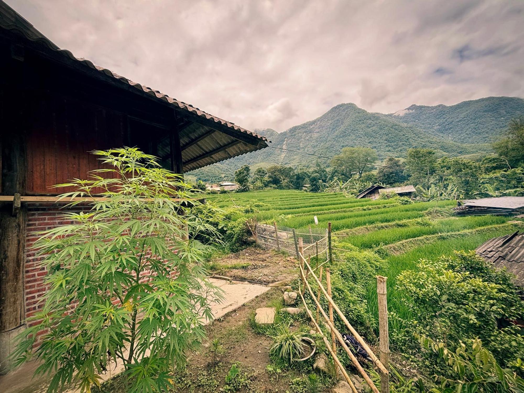 Апартаменты Sapa Tranquilla Экстерьер фото